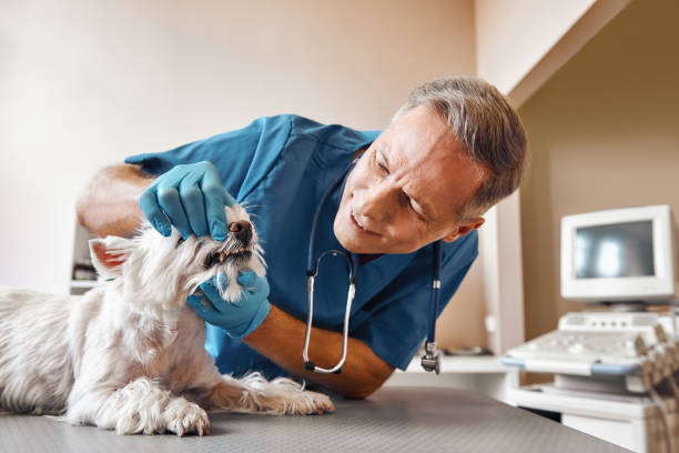 Best Emergency Tooth Extraction in Dalzell, SC